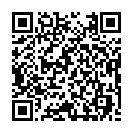 QR Ventricelli Paolo