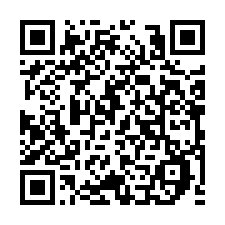 QR Falcicchio Domenico